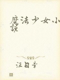 魔法少女小圆小说