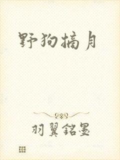 野狗摘月
