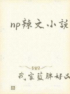 np辣文小说