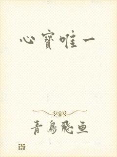 心宝唯一