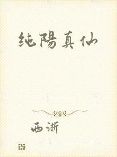 纯阳真仙