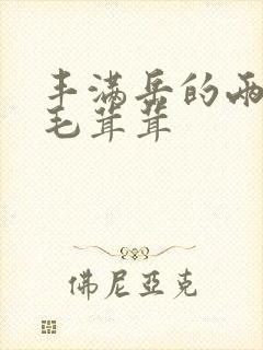 丰满岳的两腿间毛茸茸