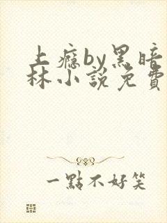 上瘾by黑暗森林小说免费