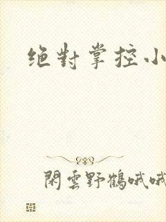 绝对掌控小说
