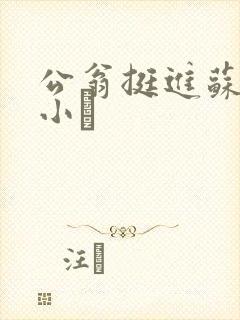 公翁挺进苏玥的小泬