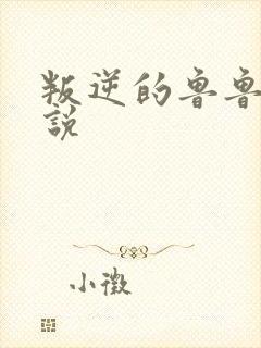 叛逆的鲁鲁修小说