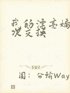 我的漂亮娇妻初次交换