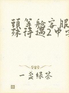 头等舱客服的特殊待遇2中字