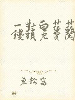 一对白花花的大馒头免费阅读