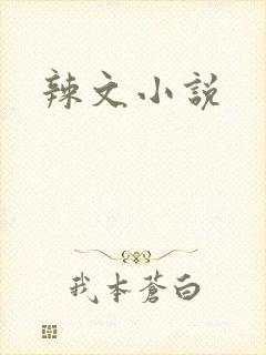 辣文小说