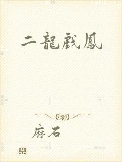 二龙戏凤