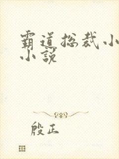 霸道总裁小娇妻小说