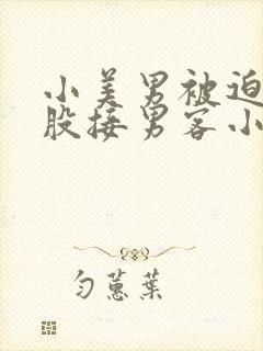 小美男被迫卖屁股接男客小说