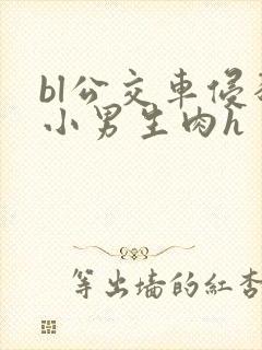 bl公交车侵犯小男生肉h