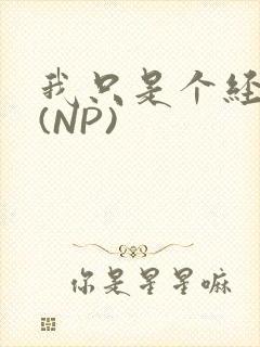 我只是个经纪人(NP)