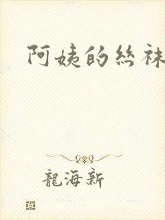 阿姨的丝袜小说