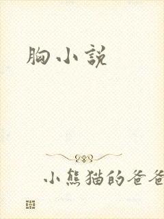胸小说