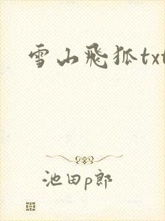 雪山飞狐txt