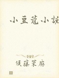 小豆蔻小说