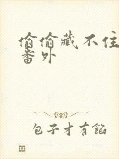 偷偷藏不住新婚番外