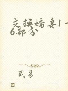 交换娇妻1一36部分