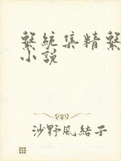 系统集精系统 小说