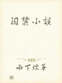 囚禁小说