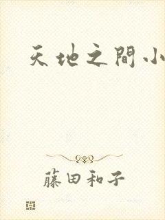 天地之间小说