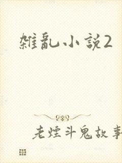 杂乱小说2