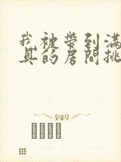 我被带到满是玩具的房间挑调游戏