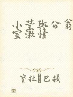 小莹与公翁办公室激情