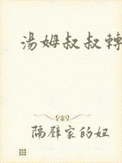 汤姆叔叔转接口