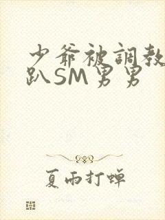 少爷被调教室跪趴SM男男