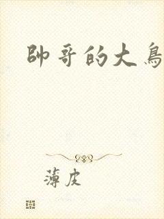 帅哥的大鸟