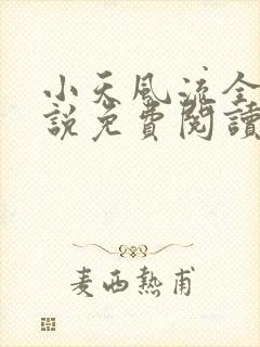 小天风流全集小说免费阅读