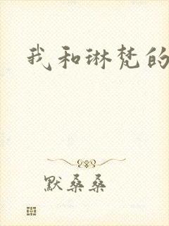 我和琳梵的故事