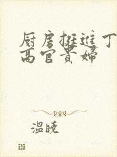 厨房挺进丁字裤高官贵妇