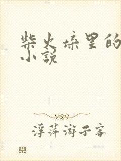 柴火垛里的疯狂小说