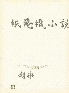 纸飞机小说