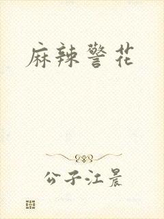 麻辣警花