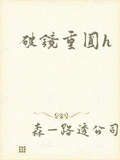 破镜重圆h