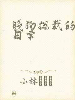 贱狗总裁的私教日常