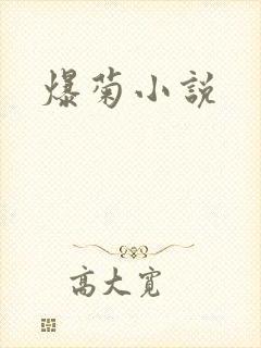 爆菊小说