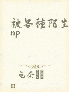 被各种陌生人 np