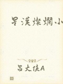 星汉灿烂小说