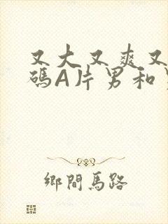 又大又爽又黄无码A片男和男