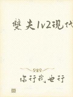 双夫1v2现代