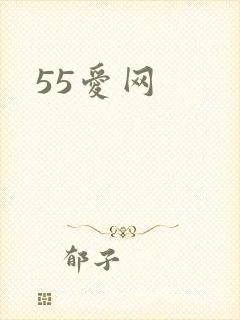 55爱网