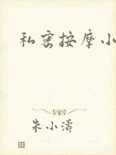 私密按摩小说