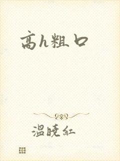 高h粗口